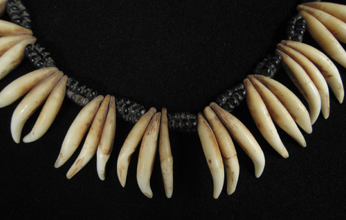 African Tribal Art - Dog's teeth necklace, South Africa, detail