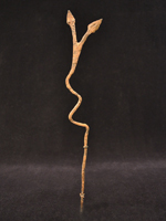 Two-headed snake