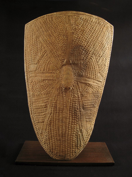 African Tribal Art - Shield, Wandala, Northern Cameroon