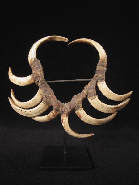 Oceanic Art - Boar's tusk mouth ornament, Papua New Guinea