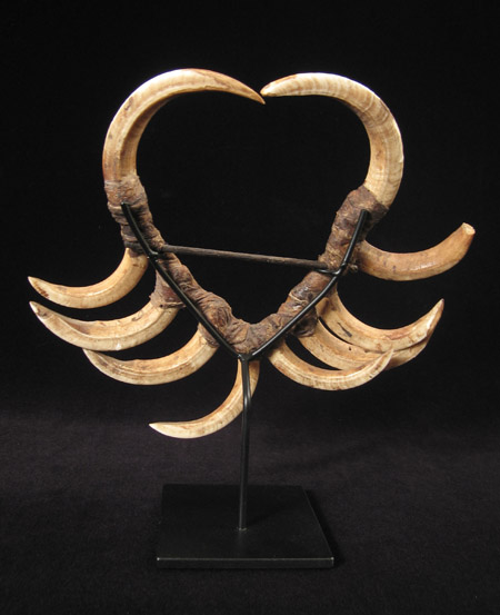Oceanic Art - Boar's tusk mouth ornament, Papua New Guinea, back