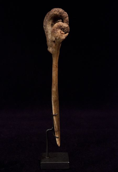 Bone Dagger, Yangoru Boiken culture, Papua New Guinea, left side view