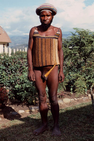 Cuirass, Dani people, Baliem Valley, West Papua, tribesman wearing cuirass
