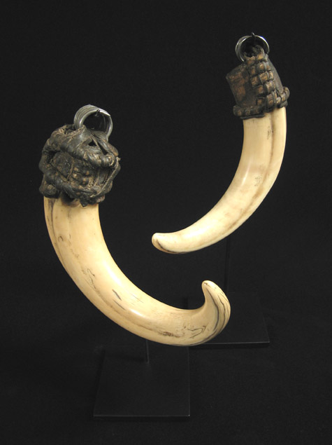African Tribal Art - Wart hog tusks, Ethiopia