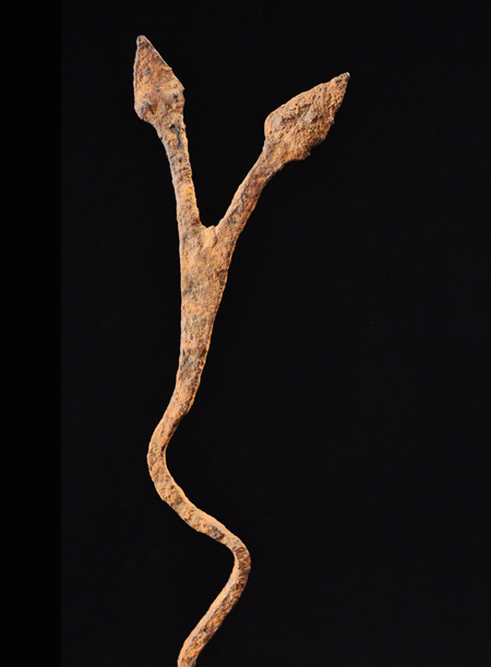 Lobi snake detail