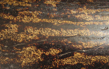 Asian Tribal Art - Coco de mer basket, India, detail