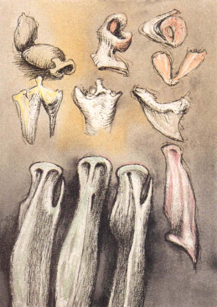 Contemporary Art - Henry Moore